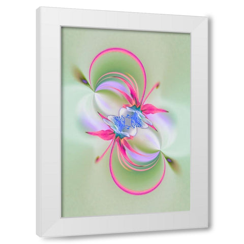 Columbine flower-Colorado White Modern Wood Framed Art Print by Jones, Adam