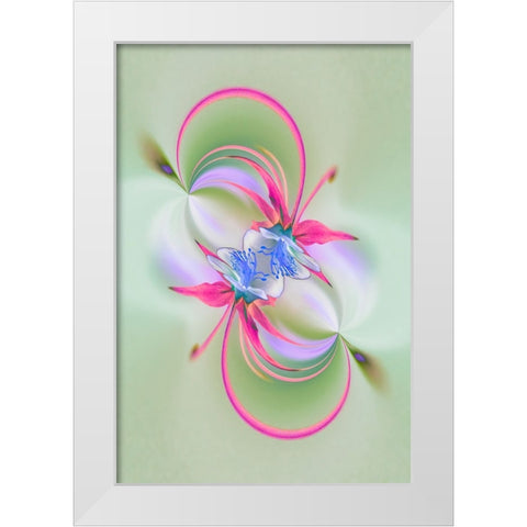 Columbine flower-Colorado White Modern Wood Framed Art Print by Jones, Adam