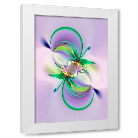 Columbine flower-Colorado White Modern Wood Framed Art Print by Jones, Adam