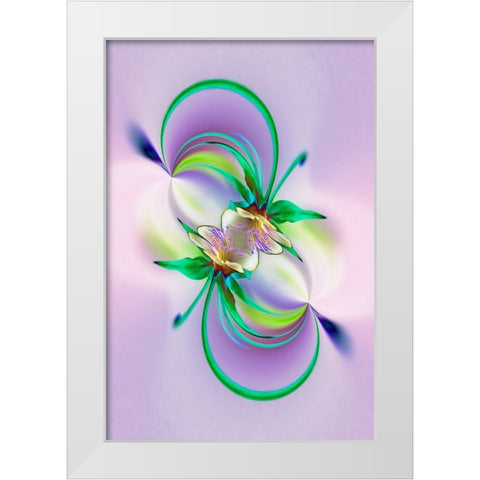 Columbine flower-Colorado White Modern Wood Framed Art Print by Jones, Adam
