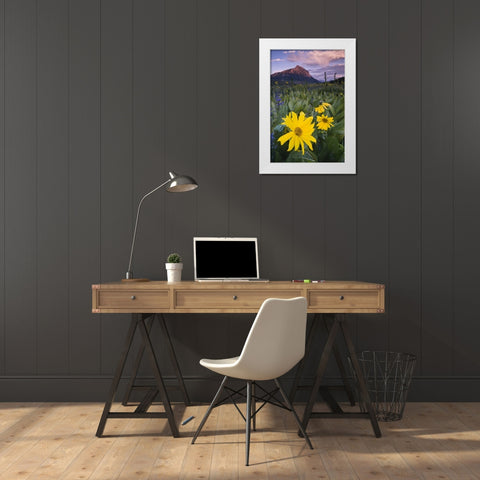 CO, Crested Butte Flowers by Mt Crested Butte White Modern Wood Framed Art Print by Rotenberg, Nancy