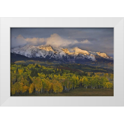 CO, Rocky Mts Sunrise over the Sneffels Range White Modern Wood Framed Art Print by Grall, Don