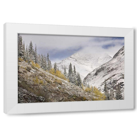 CO, Rocky Mts, Cinnamon Pass Autumn snowfall, White Modern Wood Framed Art Print by Grall, Don
