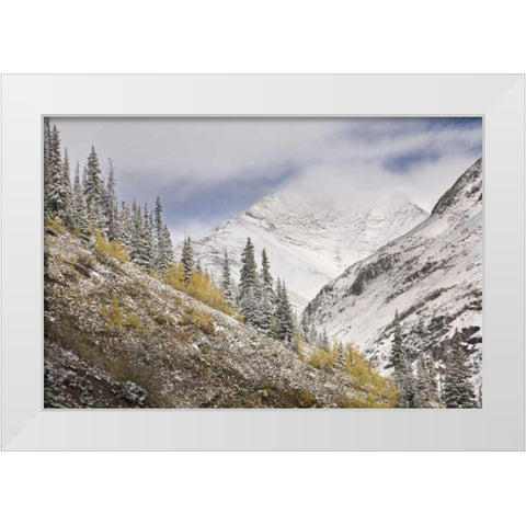 CO, Rocky Mts, Cinnamon Pass Autumn snowfall, White Modern Wood Framed Art Print by Grall, Don