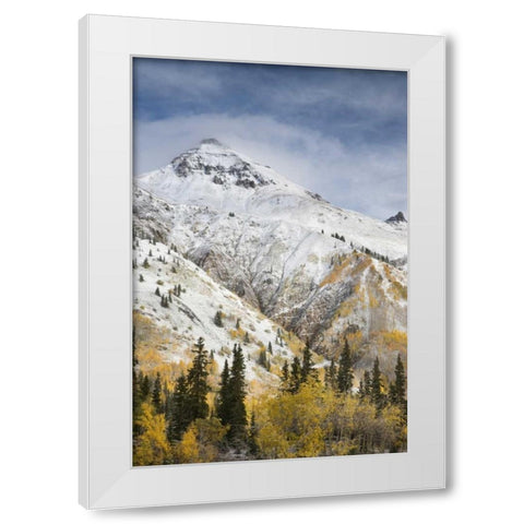 CO, Uncompahgre NF Mountain and aspens in autumn White Modern Wood Framed Art Print by Grall, Don