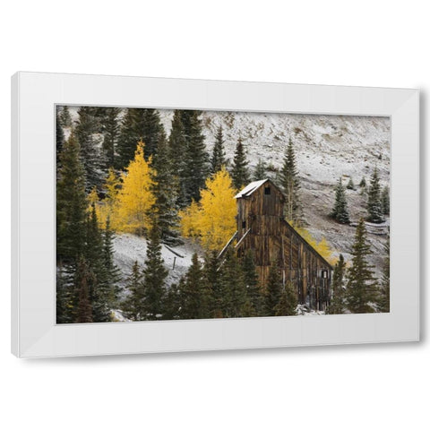 CO, Uncompahgre NF, An abandoned mine in fall White Modern Wood Framed Art Print by Grall, Don