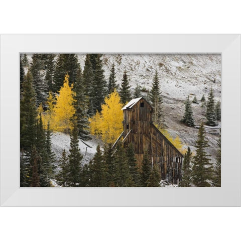 CO, Uncompahgre NF, An abandoned mine in fall White Modern Wood Framed Art Print by Grall, Don