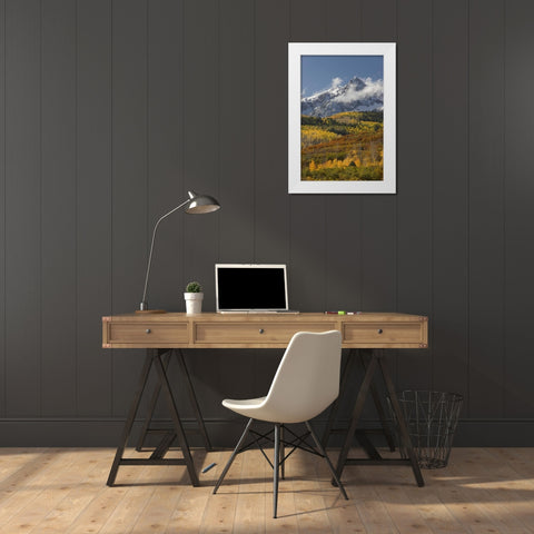 CO, San Juan Mts, Uncompahgre NF Autumn forest White Modern Wood Framed Art Print by Grall, Don