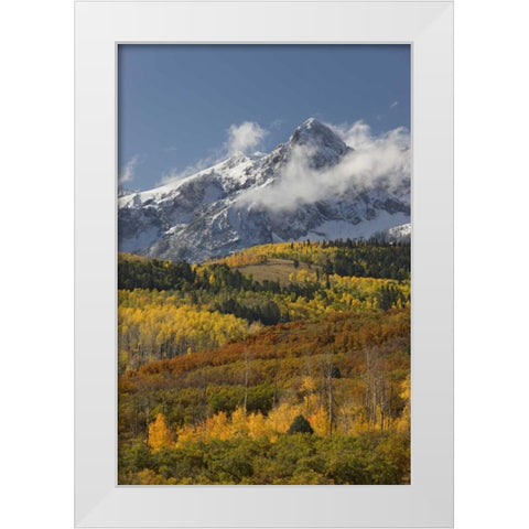 CO, San Juan Mts, Uncompahgre NF Autumn forest White Modern Wood Framed Art Print by Grall, Don
