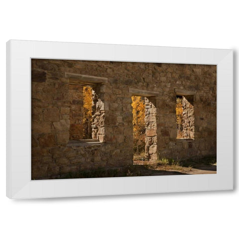 CO, Central City Aspen inside abandoned building White Modern Wood Framed Art Print by Grall, Don
