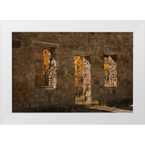 CO, Central City Aspen inside abandoned building White Modern Wood Framed Art Print by Grall, Don