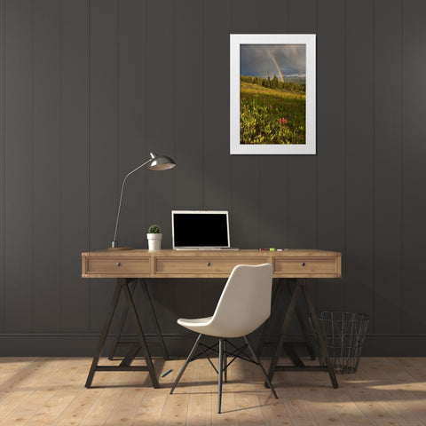 CO, Shrine Pass A sunset rainbow over meadow White Modern Wood Framed Art Print by Grall, Don