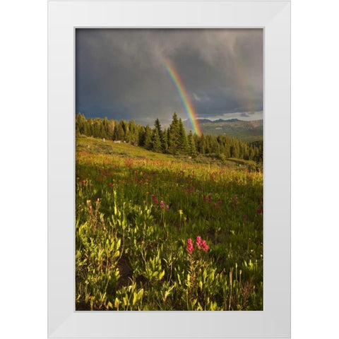 CO, Shrine Pass A sunset rainbow over meadow White Modern Wood Framed Art Print by Grall, Don
