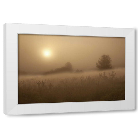 CO, Colorado Springs, Palmer Park Fog over field White Modern Wood Framed Art Print by Grall, Don