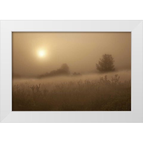 CO, Colorado Springs, Palmer Park Fog over field White Modern Wood Framed Art Print by Grall, Don