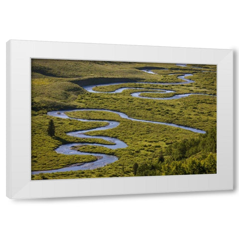 CO, Gunnison NF Uper East Rivers meandering White Modern Wood Framed Art Print by Grall, Don
