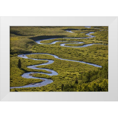 CO, Gunnison NF Uper East Rivers meandering White Modern Wood Framed Art Print by Grall, Don