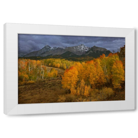 CO, Sneffels Range Dark clouds foretell a storm White Modern Wood Framed Art Print by Grall, Don