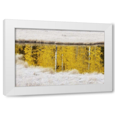CO, San Juan Mts Autumn sunrise reflection White Modern Wood Framed Art Print by Grall, Don