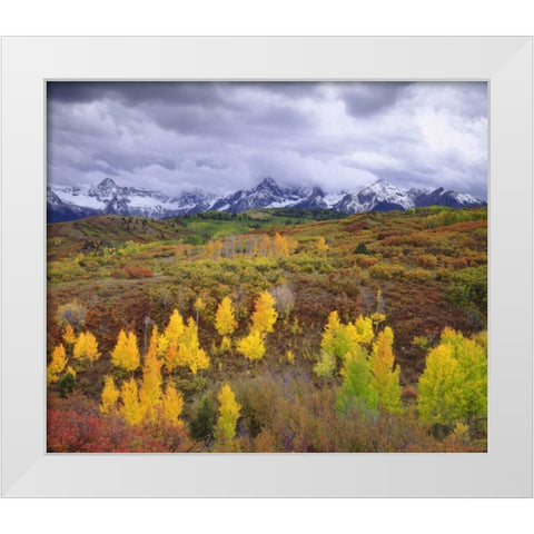 Colorado, Rocky Mountains, Autumn in the Rockies White Modern Wood Framed Art Print by Talbot Frank, Christopher