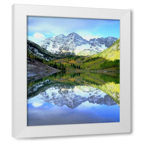 CO, Rocky Mts, Maroon Lake, Maroon Bell flowers White Modern Wood Framed Art Print by Talbot Frank, Christopher