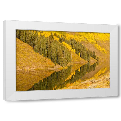 CO, Rocky Mts Autumn reflection on Long Lake White Modern Wood Framed Art Print by Illg, Cathy and Gordon
