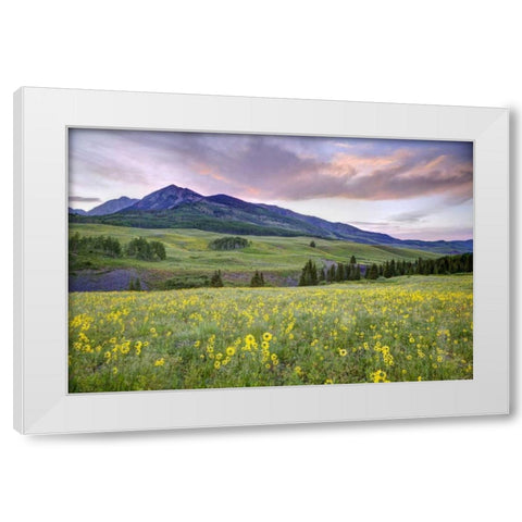 CO, Crested Butte Flowers and mountain White Modern Wood Framed Art Print by Flaherty, Dennis