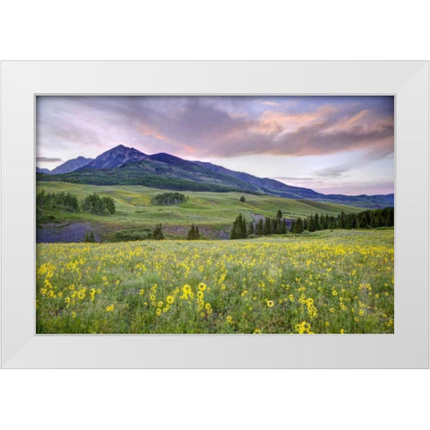 CO, Crested Butte Flowers and mountain White Modern Wood Framed Art Print by Flaherty, Dennis
