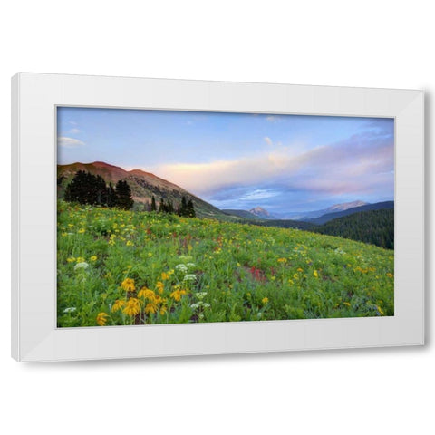 CO, Crested Butte Flowers and mountains White Modern Wood Framed Art Print by Flaherty, Dennis