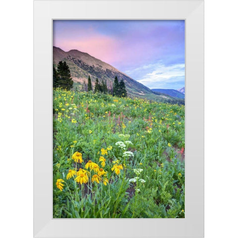 CO, Crested Butte Flowers and mountains White Modern Wood Framed Art Print by Flaherty, Dennis