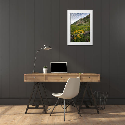 Colorado, Crested Butte Wildflowers and old log White Modern Wood Framed Art Print by Illg, Cathy and Gordon