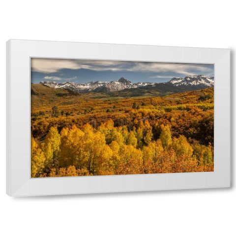 Colorado Dallas Divide in San Juan Mountains White Modern Wood Framed Art Print by Illg, Cathy and Gordon
