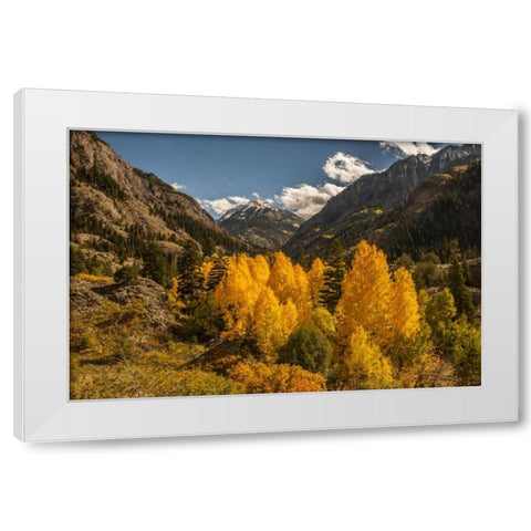 Colorado Autumn landscape in San Juan Mountains White Modern Wood Framed Art Print by Illg, Cathy and Gordon