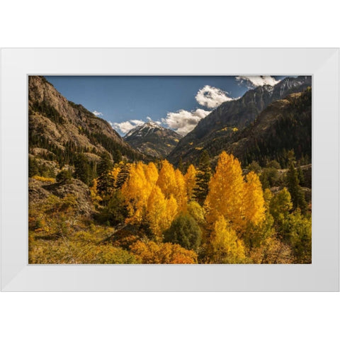 Colorado Autumn landscape in San Juan Mountains White Modern Wood Framed Art Print by Illg, Cathy and Gordon