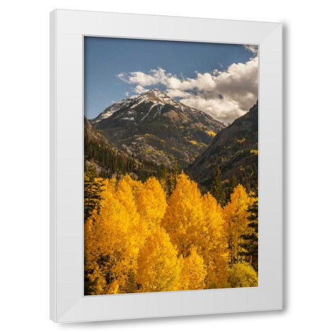 Colorado Autumn landscape in San Juan Mountains White Modern Wood Framed Art Print by Illg, Cathy and Gordon