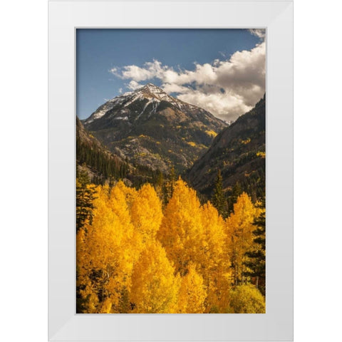 Colorado Autumn landscape in San Juan Mountains White Modern Wood Framed Art Print by Illg, Cathy and Gordon