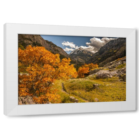 Colorado Autumn landscape in San Juan Mountains White Modern Wood Framed Art Print by Illg, Cathy and Gordon