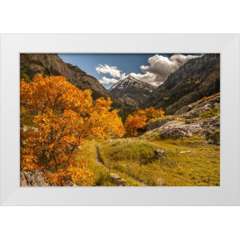 Colorado Autumn landscape in San Juan Mountains White Modern Wood Framed Art Print by Illg, Cathy and Gordon