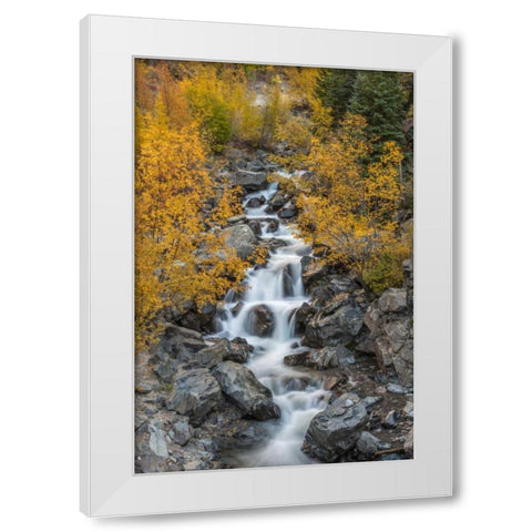 Colorado Cascading creek in San Juan Mountains White Modern Wood Framed Art Print by Illg, Cathy and Gordon