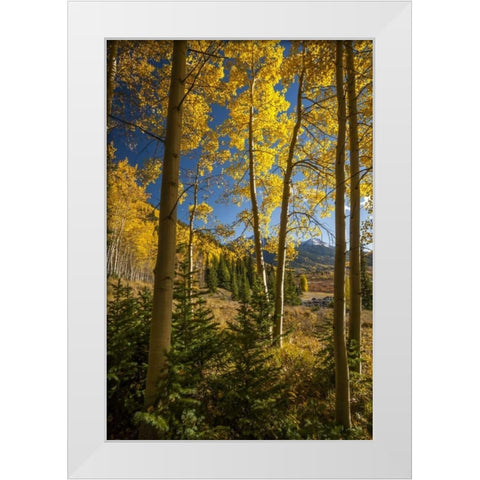 USA, Colorado Landscape in San Juan Mountains White Modern Wood Framed Art Print by Illg, Cathy and Gordon