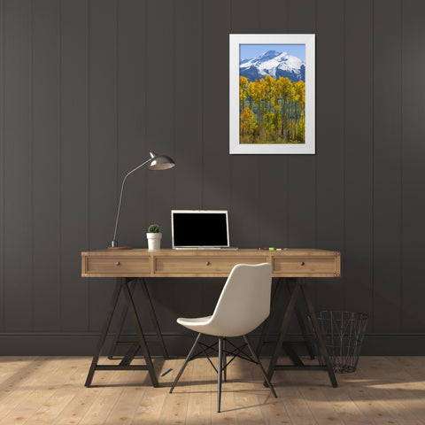 USA, Colorado Fall aspens and mountain White Modern Wood Framed Art Print by Paulson, Don