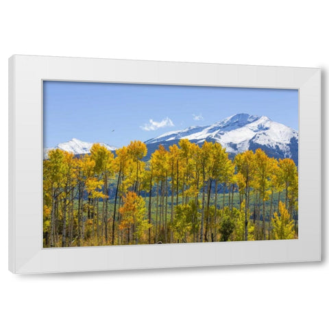 USA, Colorado Fall aspens and mountain White Modern Wood Framed Art Print by Paulson, Don