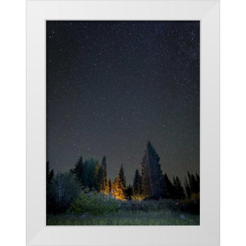USA, Colorado Night sky at Lost Lake Slough White Modern Wood Framed Art Print by Paulson, Don