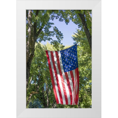Colorado, Crawford Flag between two trees White Modern Wood Framed Art Print by Paulson, Don