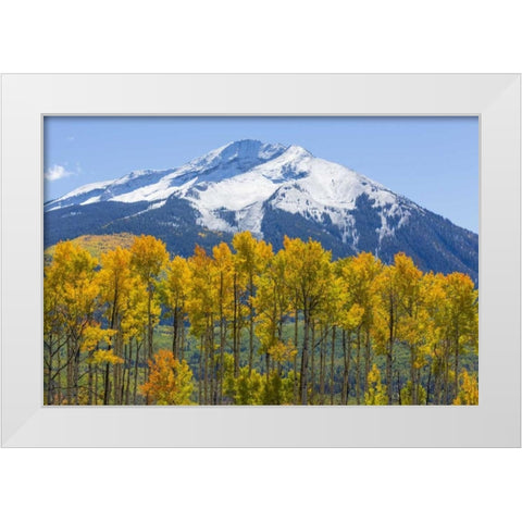 Colorado Fall aspens and mountain White Modern Wood Framed Art Print by Paulson, Don