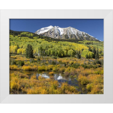 CO, East Beckwith Mountain Mountain and forest White Modern Wood Framed Art Print by Paulson, Don
