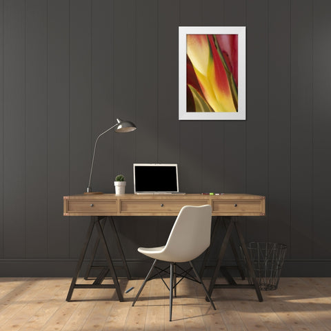 USA, Colorado, Lafayette, heliconia close-up White Modern Wood Framed Art Print by Bush, Marie