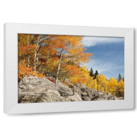 USA, Colorado, Rocky Mountain NP Autumn scenic White Modern Wood Framed Art Print by Bush, Marie