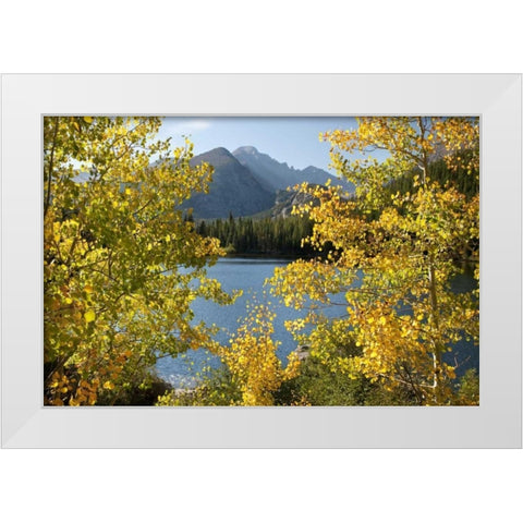 CO, Rocky Mts Bear Lake and Longs Peak, autumn White Modern Wood Framed Art Print by Bush, Marie