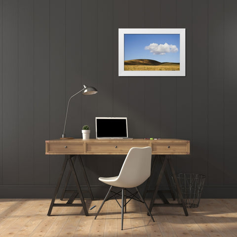 Colorado, San Juan Mts Landscape of Wilson Mesa White Modern Wood Framed Art Print by Bush, Marie